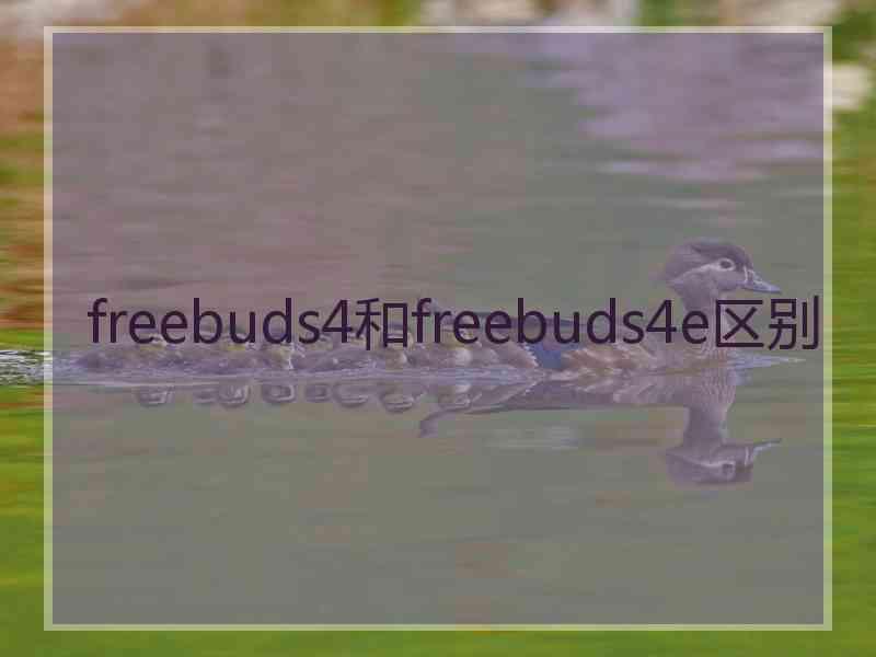 freebuds4和freebuds4e区别