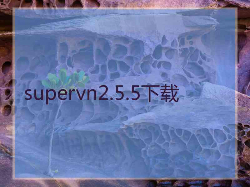 supervn2.5.5下载