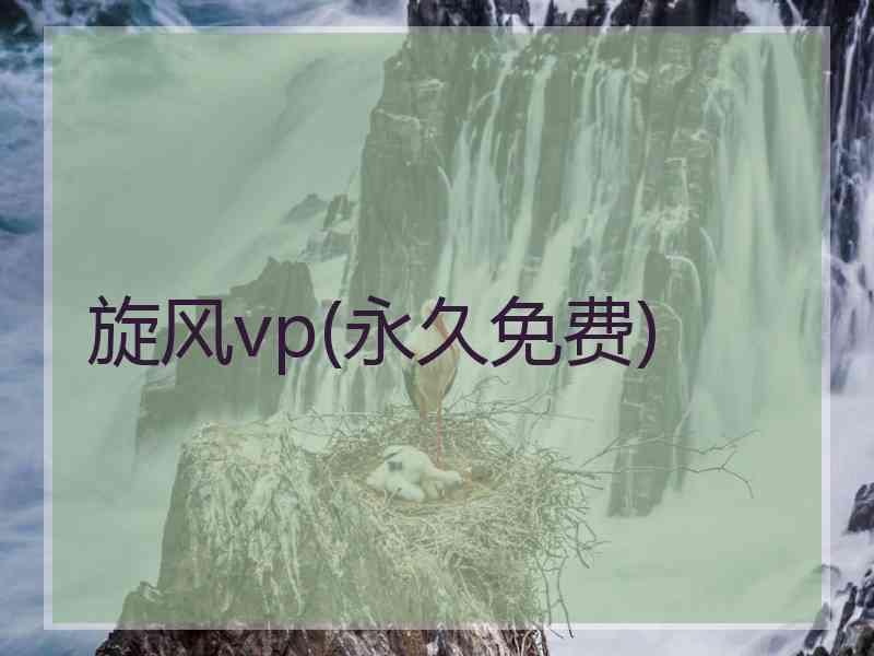 旋风vp(永久免费)