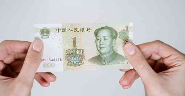 蝙蝠加速器