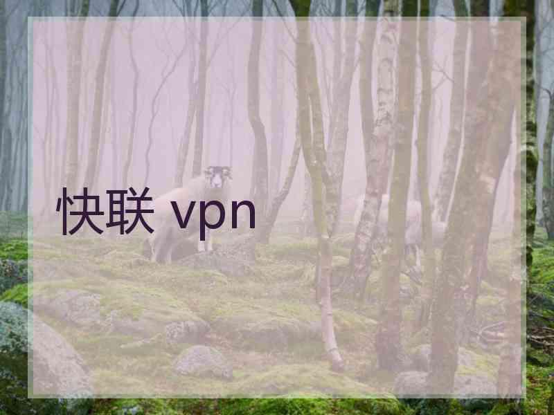 快联 vpn