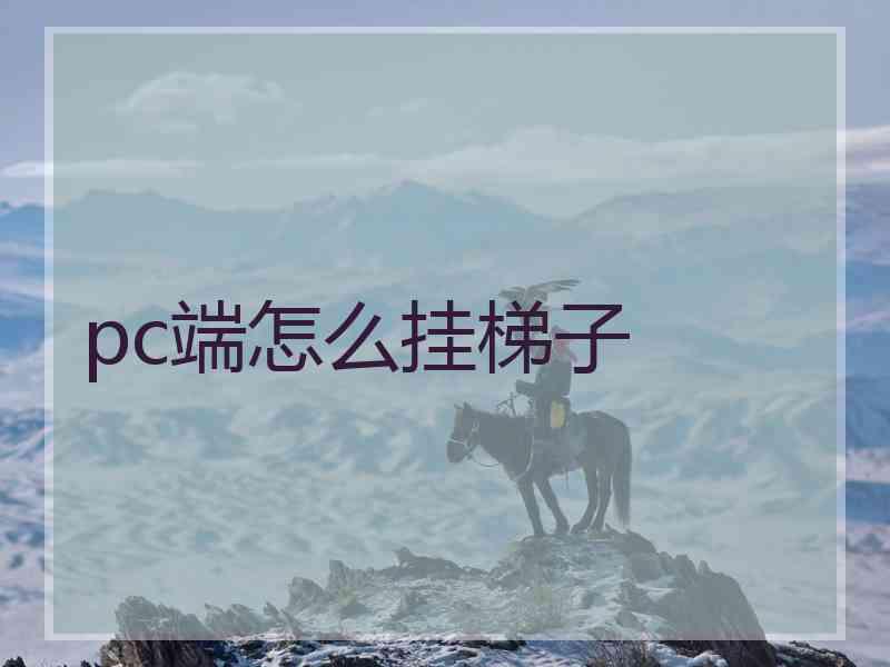 pc端怎么挂梯子