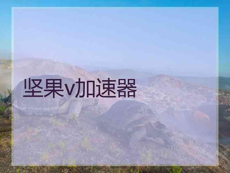 坚果v加速器