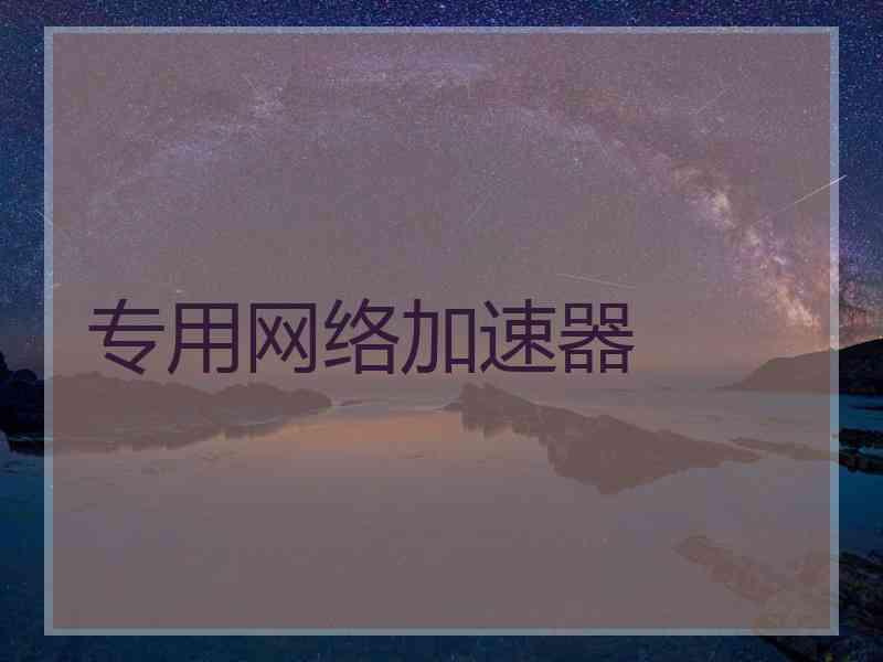 专用网络加速器