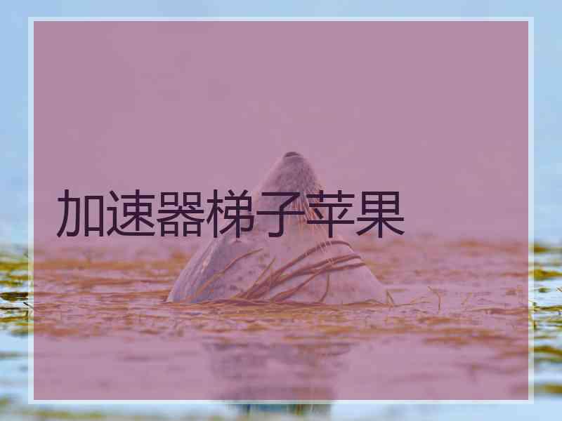 加速器梯子苹果