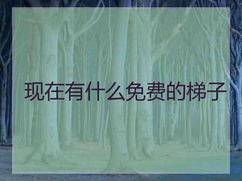 现在有什么免费的梯子