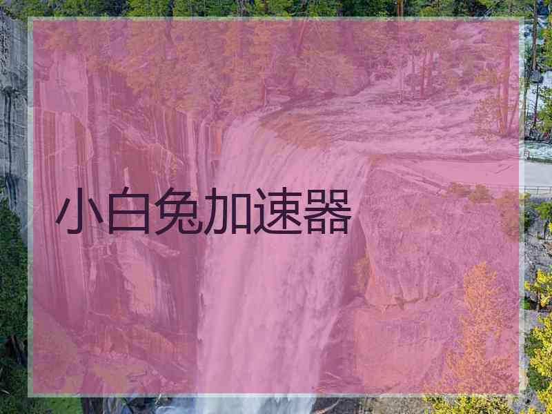小白兔加速器