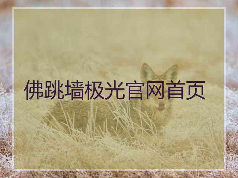 佛跳墙极光官网首页