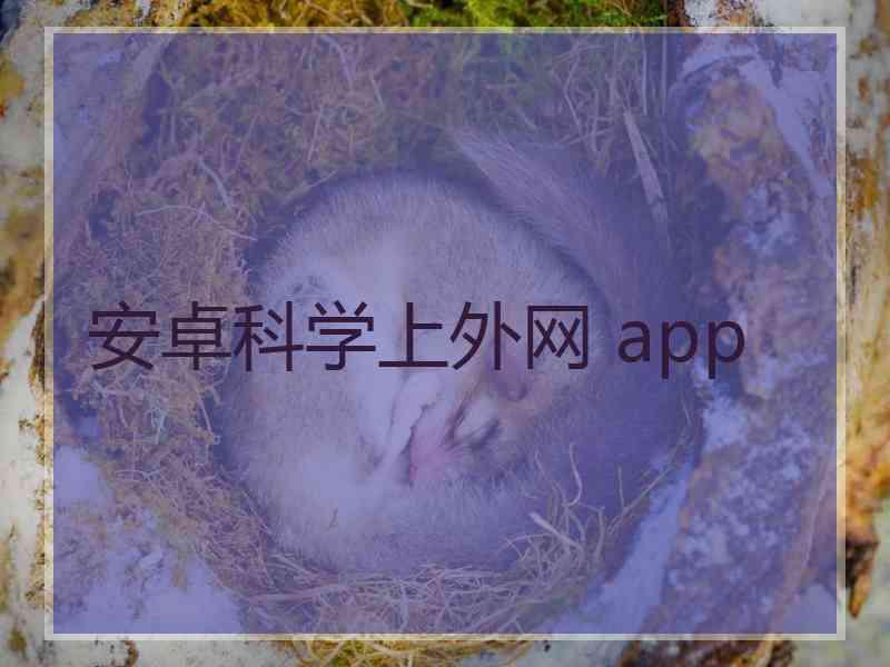 安卓科学上外网 app