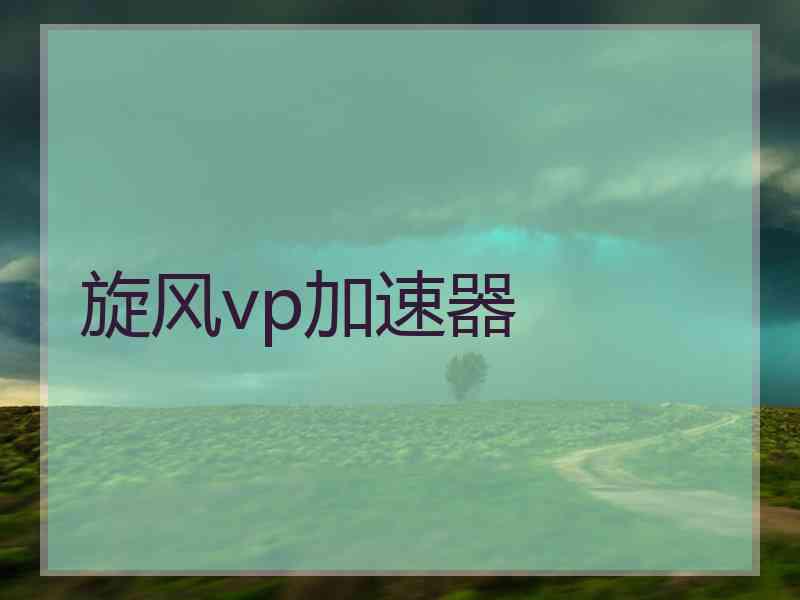 旋风vp加速器