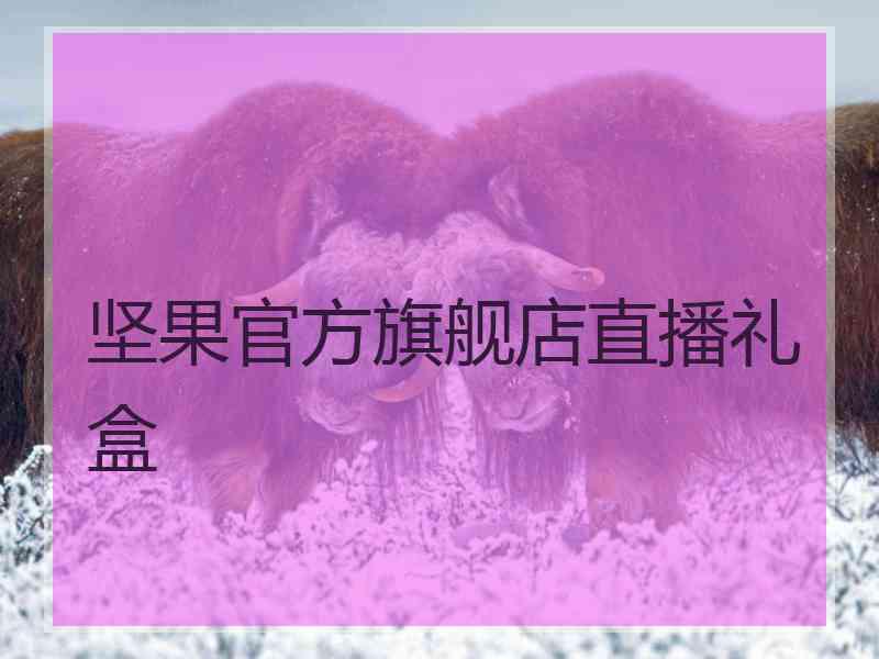 坚果官方旗舰店直播礼盒