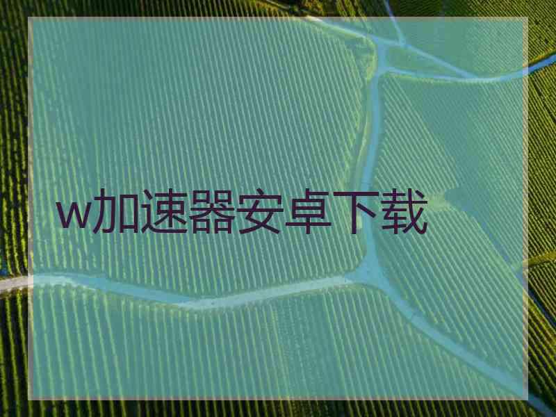 w加速器安卓下载