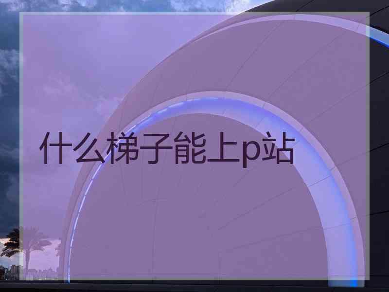 什么梯子能上p站