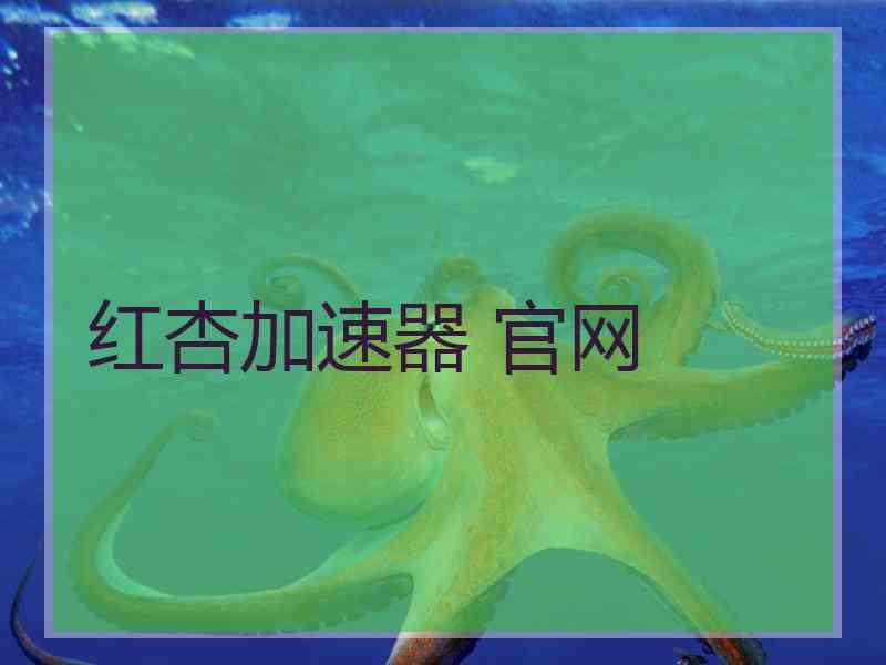 红杏加速器 官网