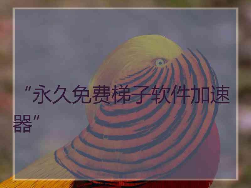 “永久免费梯子软件加速器”