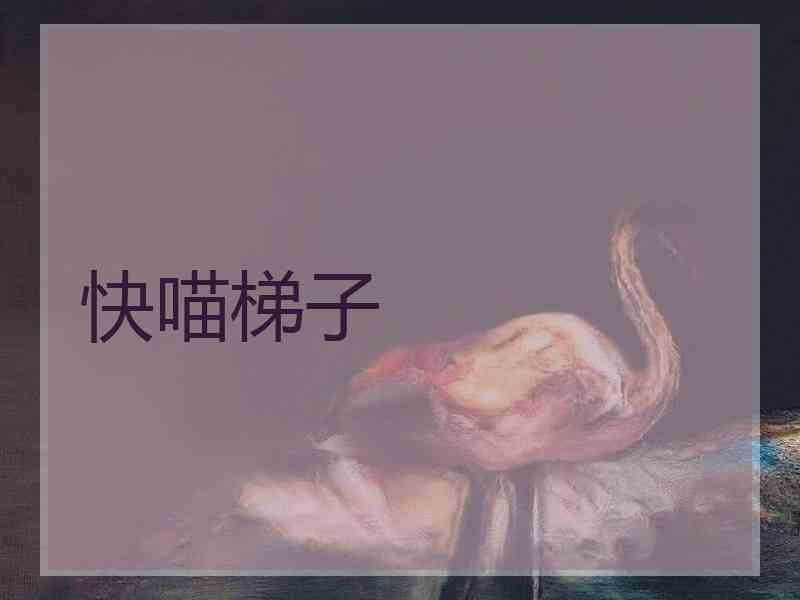 快喵梯子