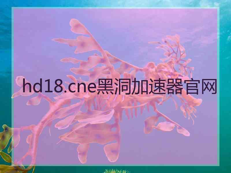 hd18.cne黑洞加速器官网