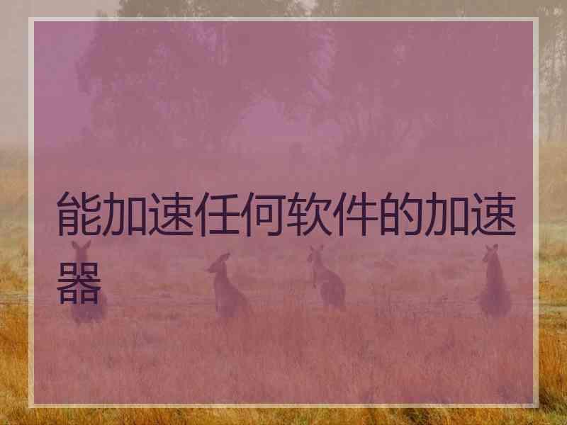 能加速任何软件的加速器