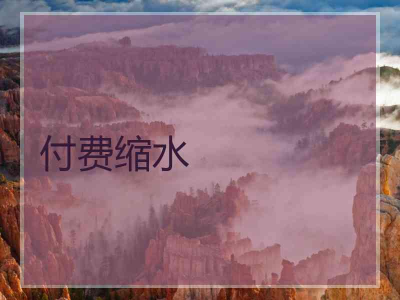 付费缩水