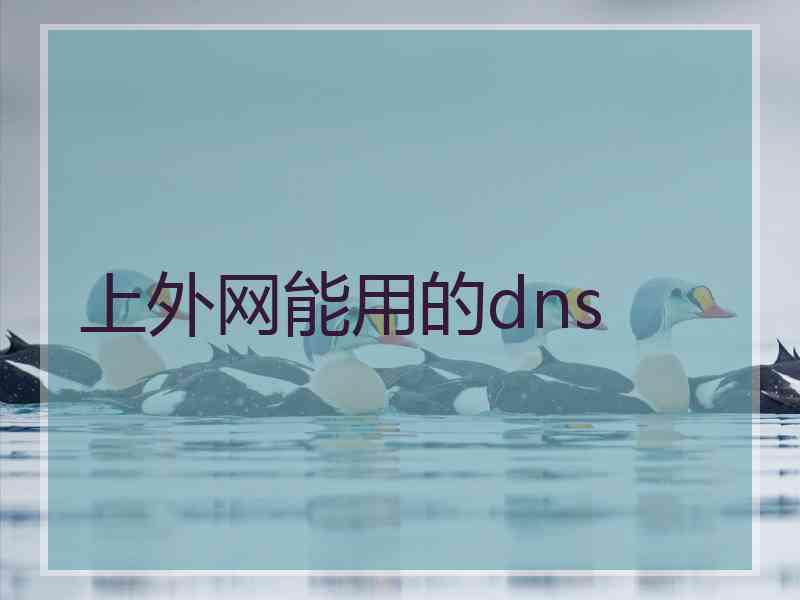 上外网能用的dns