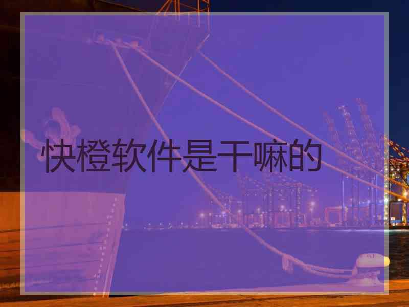 快橙软件是干嘛的