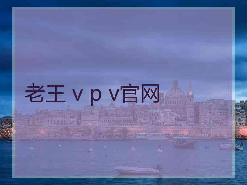 老王 v p v官网