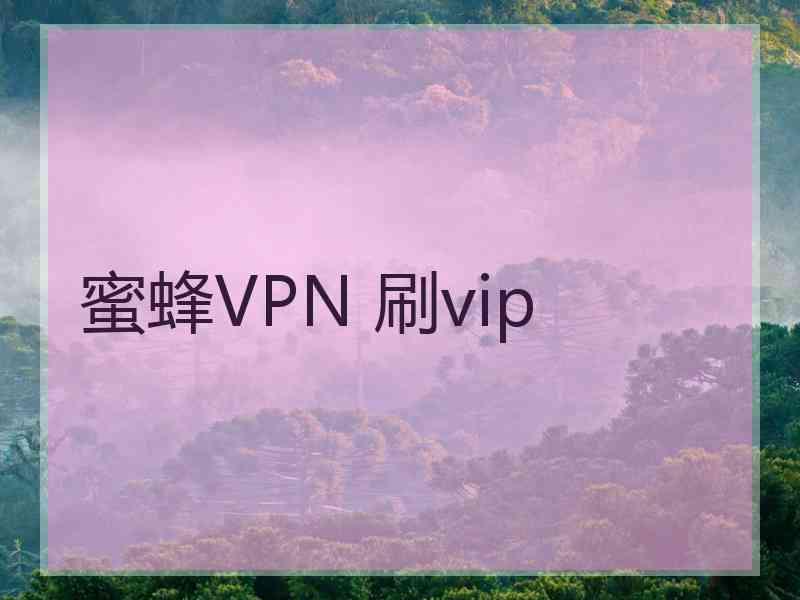 蜜蜂VPN 刷vip