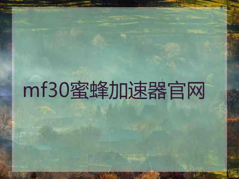 mf30蜜蜂加速器官网