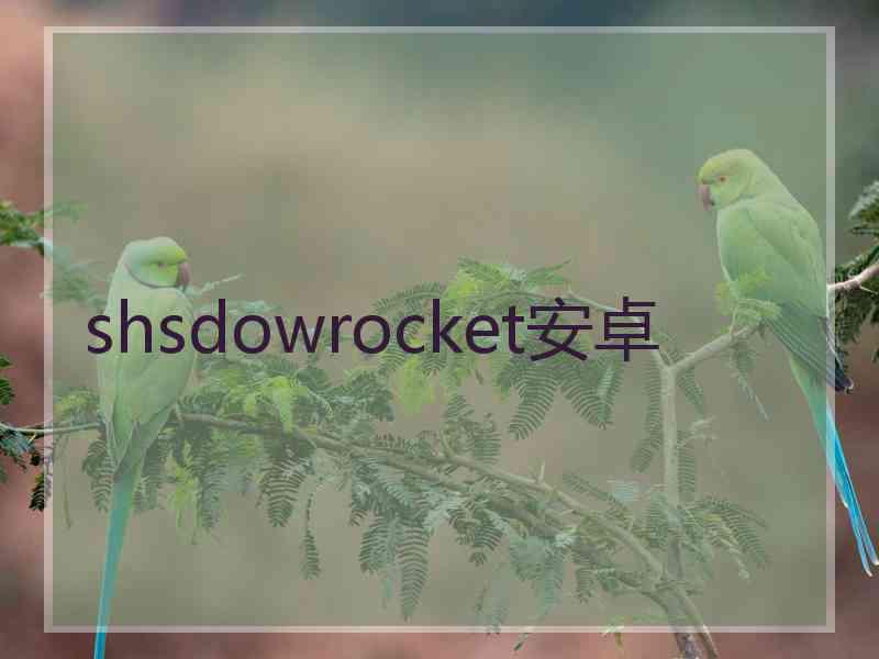 shsdowrocket安卓