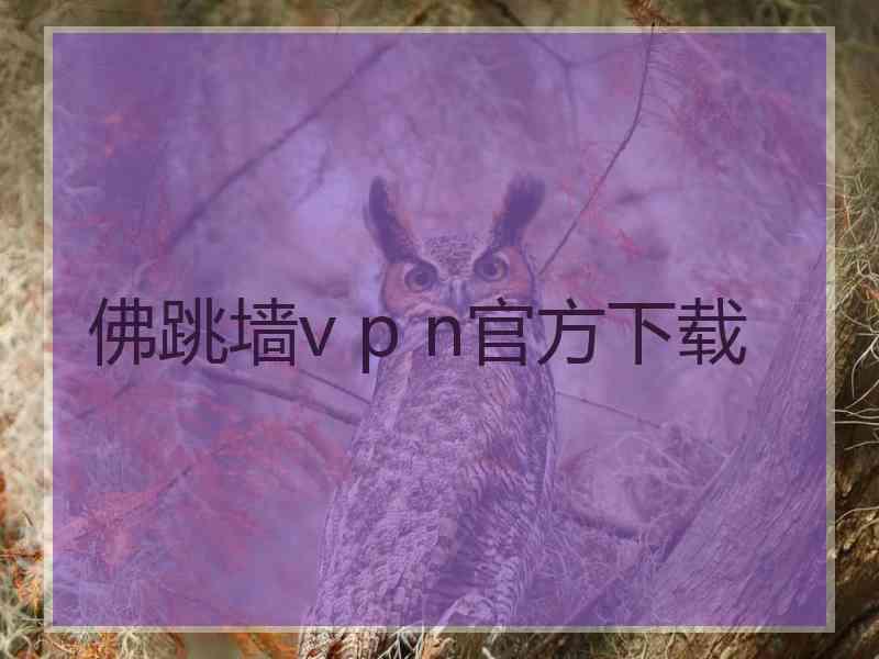 佛跳墙v p n官方下载