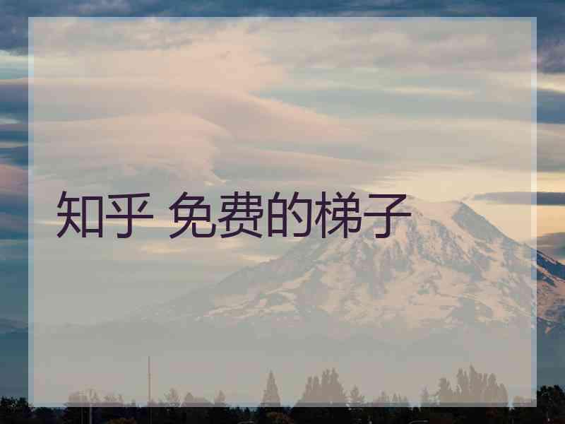 知乎 免费的梯子