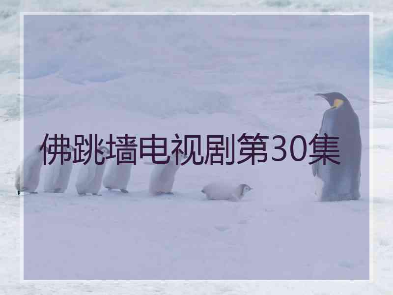 佛跳墙电视剧第30集