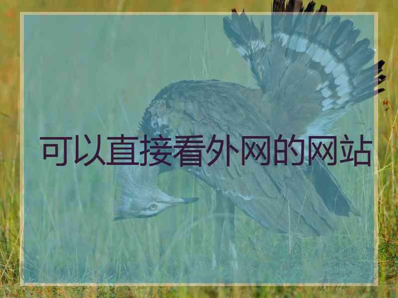 可以直接看外网的网站