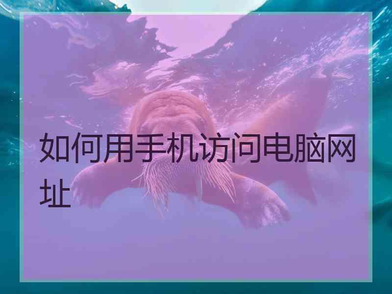 如何用手机访问电脑网址