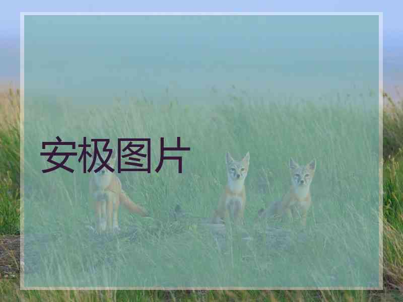 安极图片