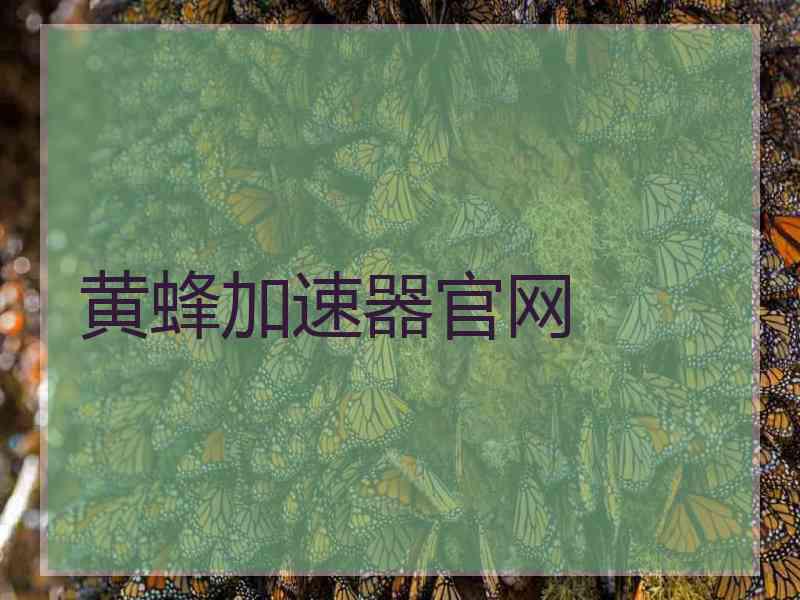黄蜂加速器官网
