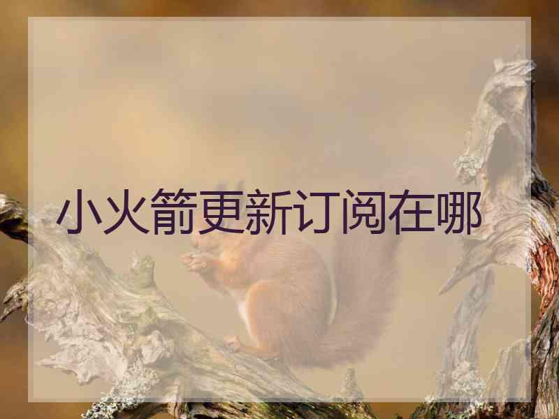 小火箭更新订阅在哪