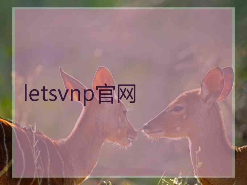 letsvnp官网