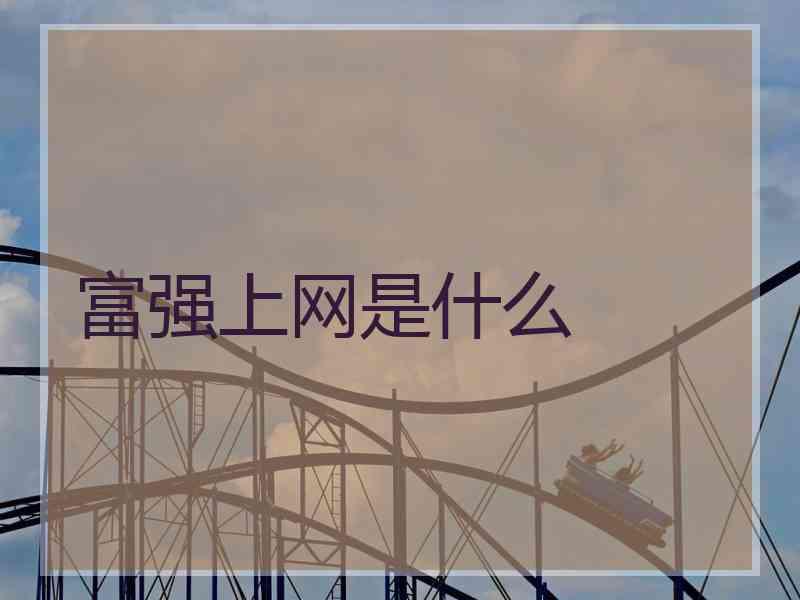 富强上网是什么