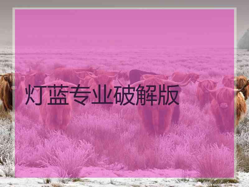 灯蓝专业破解版