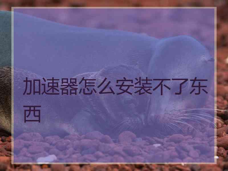 加速器怎么安装不了东西