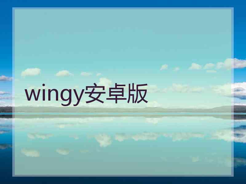 wingy安卓版