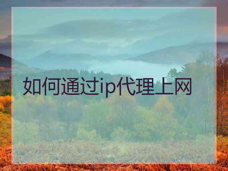 如何通过ip代理上网