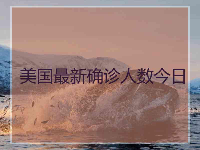 美国最新确诊人数今日