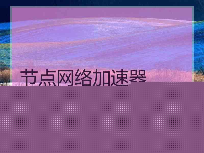 节点网络加速器