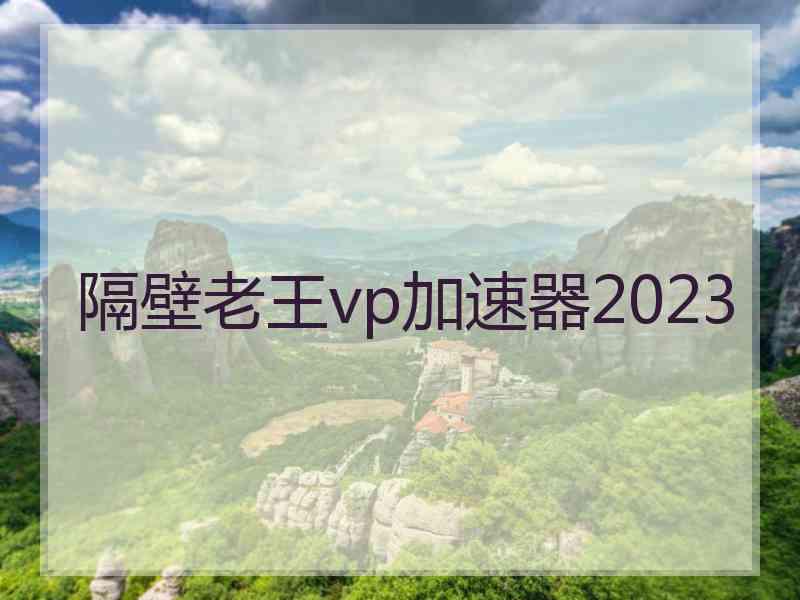 隔壁老王vp加速器2023