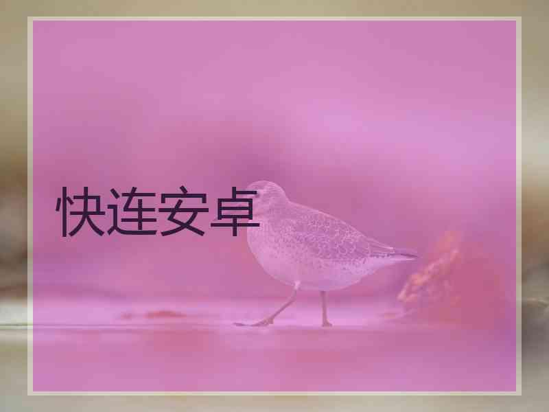 快连安卓