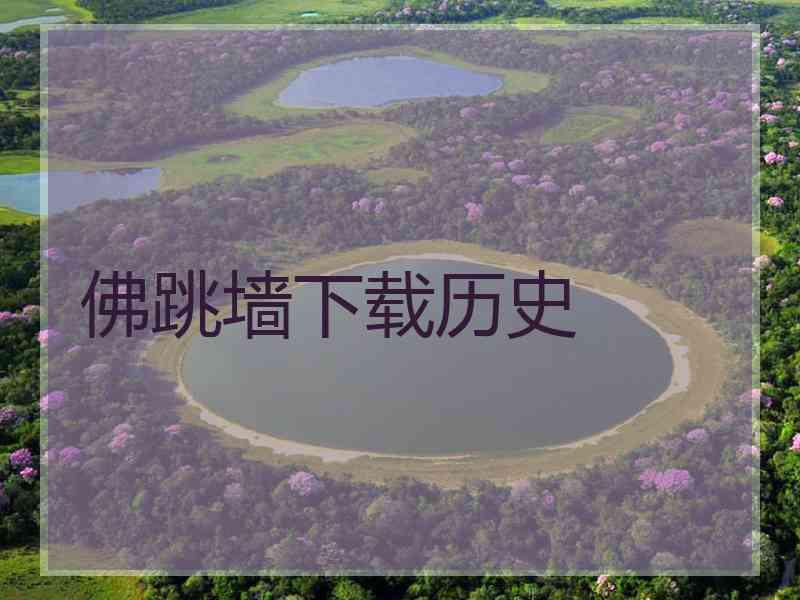 佛跳墙下载历史