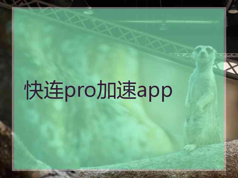 快连pro加速app