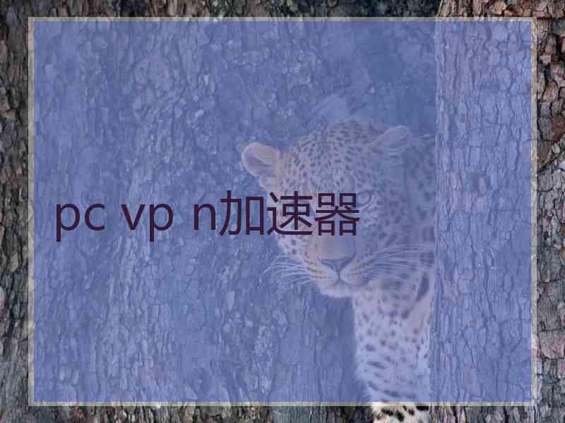 pc vp n加速器